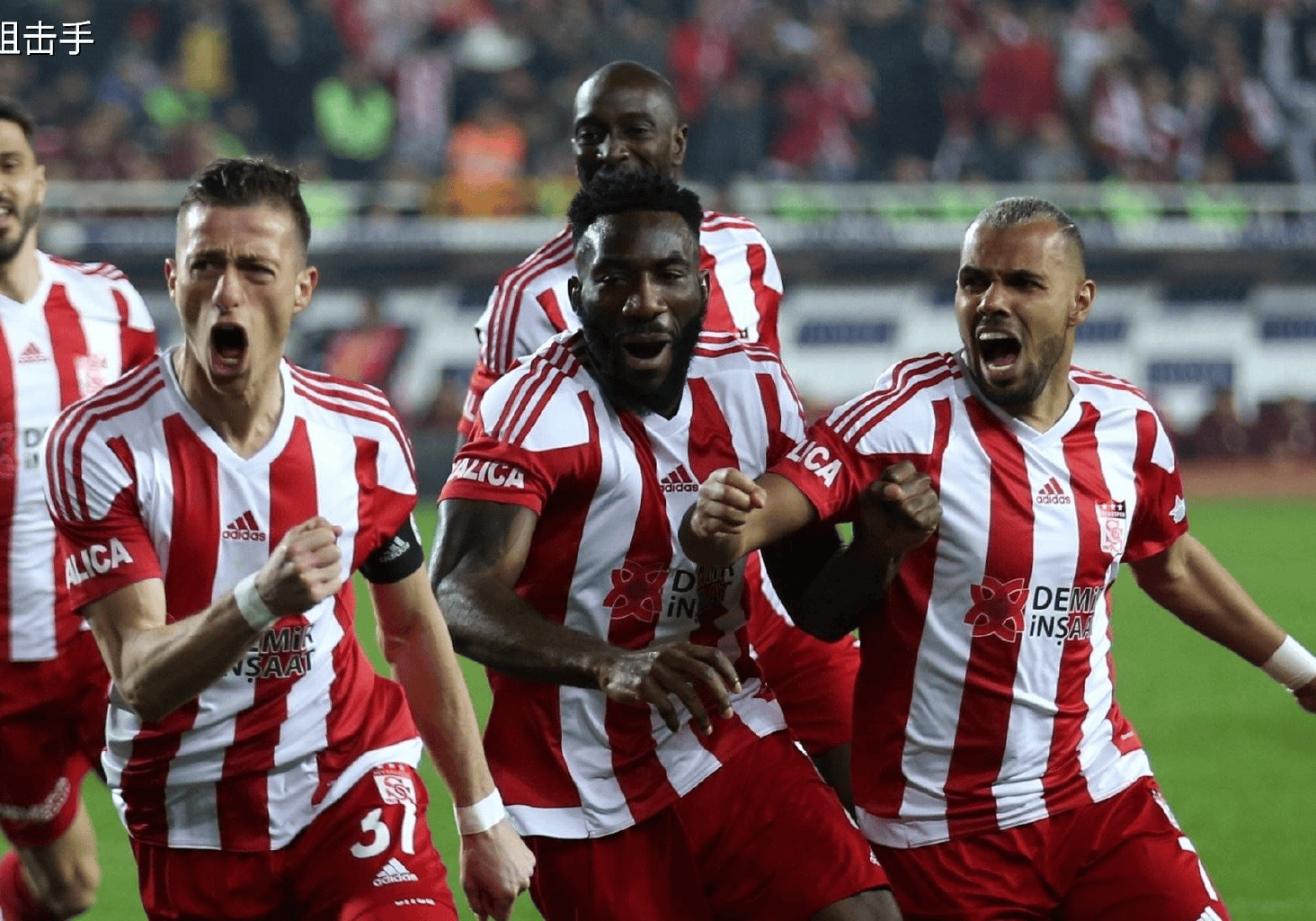 拜仁15法兰克福-kaiyun